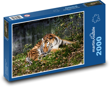Tiger in the Grass Puzzle 2000 pieces - 90 x 60 cm