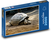 Korytnačka - obrovský plaz Puzzle 2000 dielikov - 90 x 60 cm