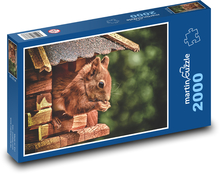 Eichhörnchen im Haus Puzzle 2000 Teile - 90 x 60 cm