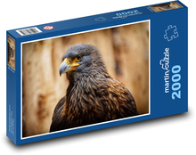 Káně - dravý pták Puzzle 2000 dílků - 90 x 60 cm