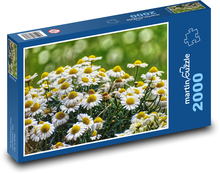 Daisies - flower, garden Puzzle 2000 pieces - 90 x 60 cm