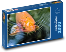 Koi - japonská ryba Puzzle 2000 dílků - 90 x 60 cm