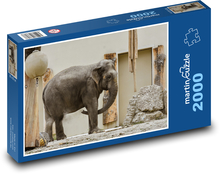 Slon - Afrika, zviera Puzzle 2000 dielikov - 90 x 60 cm