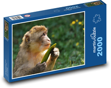 Makak - opice, zvíře Puzzle 2000 dílků - 90 x 60 cm