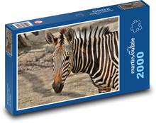 Zebra - dzikie zwierzę Puzzle 2000 elementów - 90x60 cm