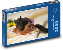Veverička - mláďatá, bábätká Puzzle 2000 dielikov - 90 x 60 cm