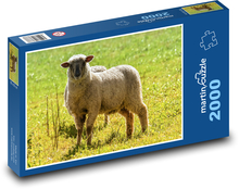 Schaf - Wolle, Gras Puzzle 2000 Teile - 90 x 60 cm