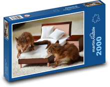 Eichhörnchen - Jungtiere, Tiere Puzzle 2000 Teile - 90 x 60 cm