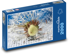 Mniszek lekarski - puch, kwiat Puzzle 2000 elementów - 90x60 cm