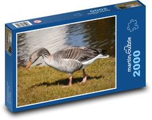 Vodný vták - hus divoká Puzzle 2000 dielikov - 90 x 60 cm