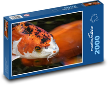 Koi - ryba, exotický Puzzle 2000 - 90x60 cm
