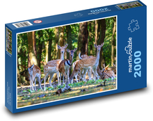 Nature - wildlife Puzzle 2000 pieces - 90 x 60 cm