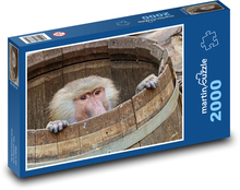 Monkey - baboon, animal Puzzle 2000 pieces - 90 x 60 cm