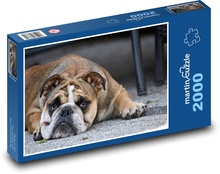 Hund, Bulldogge, Welpe Puzzle 2000 Teile - 90 x 60 cm