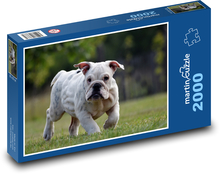 Bulldog - puppy, dog Puzzle 2000 pieces - 90 x 60 cm