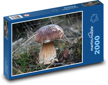 Houba - hřib, podzim Puzzle 2000 dílků - 90 x 60 cm