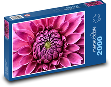 Růžová jiřina - květina, zahrada Puzzle 2000 dílků - 90 x 60 cm