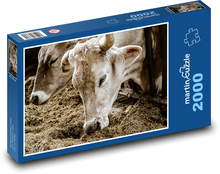 Krowy - obora, zagroda Puzzle 2000 elementów - 90x60 cm