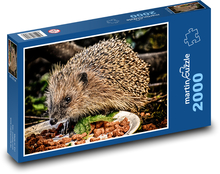 Hedgehog - forest, animal Puzzle 2000 pieces - 90 x 60 cm