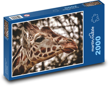 Žirafa - zoo, Afrika Puzzle 2000 dílků - 90 x 60 cm