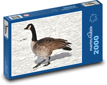 Divoká husa - vodní pták Puzzle 2000 dílků - 90 x 60 cm