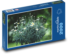 Sedmokrásky - kvety, záhrada Puzzle 2000 dielikov - 90 x 60 cm