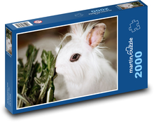 Zakrslý králík - domácí zvíře, bílý králík Puzzle 2000 dílků - 90 x 60 cm