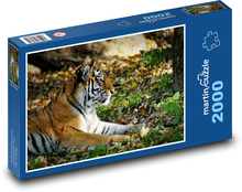 Tygr - velká kočka Puzzle 2000 dílků - 90 x 60 cm