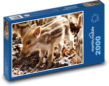 Divočák - sele, prasátko Puzzle 2000 dílků - 90 x 60 cm