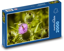 Hmyz na bodláku Puzzle 2000 dílků - 90 x 60 cm