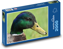 Kačer - vodní pták, zvíře Puzzle 2000 dílků - 90 x 60 cm