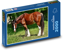 Kůň - farma, zvíře Puzzle 2000 dílků - 90 x 60 cm