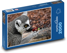 Lemur - opice, zoo Puzzle 2000 dielikov - 90 x 60 cm