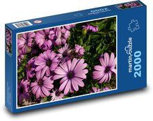 Nachová gerbera Puzzle 2000 dílků - 90 x 60 cm