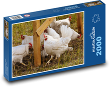 Weiße Hühner auf dem Gras Puzzle 2000 Teile - 90 x 60 cm