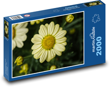 Žlté sedmokrásky Puzzle 2000 dielikov - 90 x 60 cm