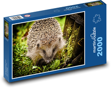 Igel - Säugetier, Tier Puzzle 2000 Teile - 90 x 60 cm