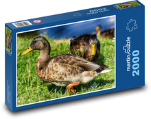 Krzyżówka - ptak, przyroda Puzzle 2000 elementów - 90x60 cm