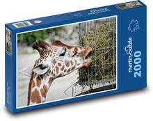 Žirafa - divoké zvíře, příroda Puzzle 2000 dílků - 90 x 60 cm