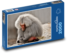 Pavián - opice, zoo Puzzle 2000 dílků - 90 x 60 cm
