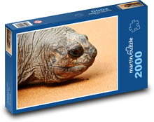 Obří želva - zvíře, plaz Puzzle 2000 dílků - 90 x 60 cm