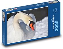 Labuť - vodný vták, zima Puzzle 2000 dielikov - 90 x 60 cm