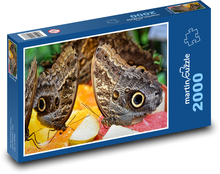 Banánový motýľ - hmyz, zviera Puzzle 2000 dielikov - 90 x 60 cm