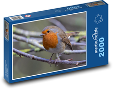 Rudzik - ptak, zwierzę Puzzle 2000 elementów - 90x60 cm