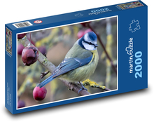 Meise - Vogel, Natur Puzzle 2000 Teile - 90 x 60 cm