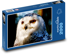 Snow owl - bird, animal Puzzle 2000 pieces - 90 x 60 cm
