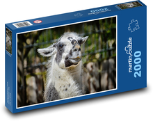 Lama - zviera, zoo Puzzle 2000 dielikov - 90 x 60 cm