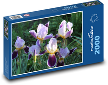 Irys, kwiat, ogród Puzzle 2000 elementów - 90x60 cm