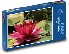 Lilia wodna - fioletowy kwiat Puzzle 2000 elementów - 90x60 cm