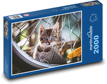 Kot - rower, zwierzak Puzzle 2000 elementów - 90x60 cm